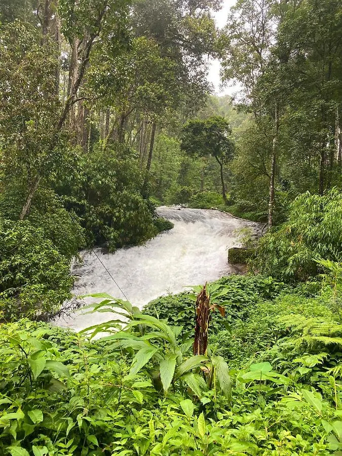 Flower Valley Plantation Homestay Munnar