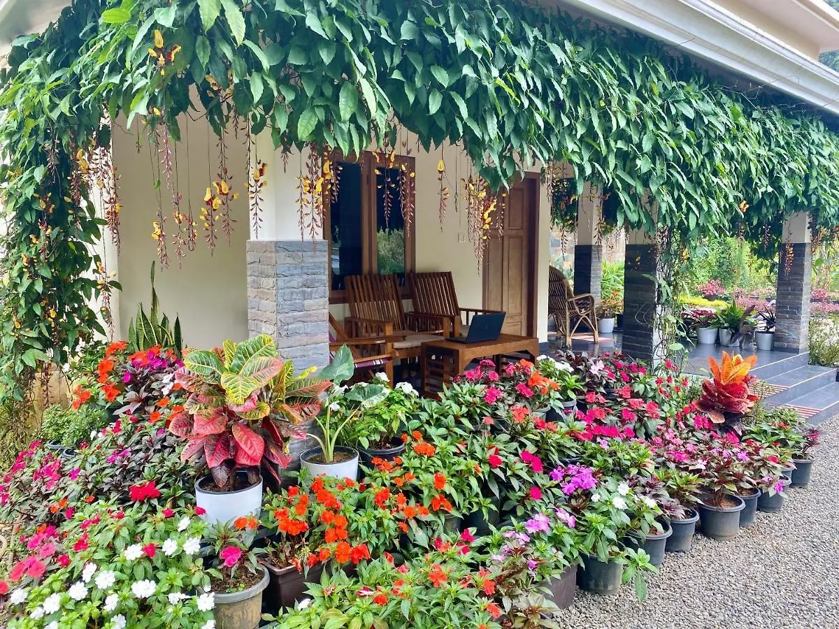 Flower Valley Plantation Homestay Munnar India